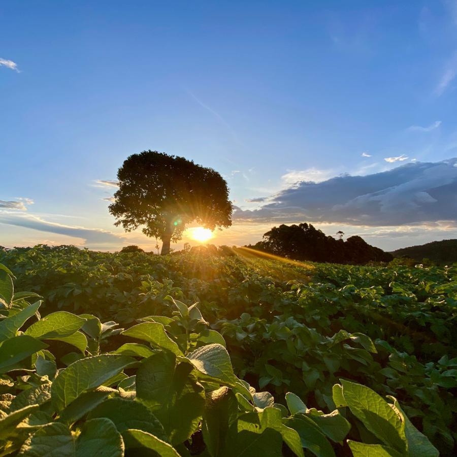 Terreno para Venda Toledo MG bairro Área Rural área total 22 000 00 m²